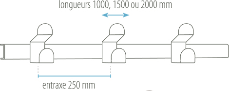 schema bipatère